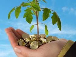 195098-money-tree_h.jpg