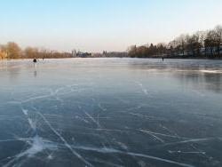 frozen_pond_papez_in_dobris_3_h.jpg